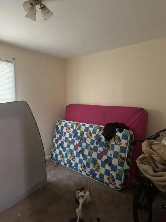 Picture 32