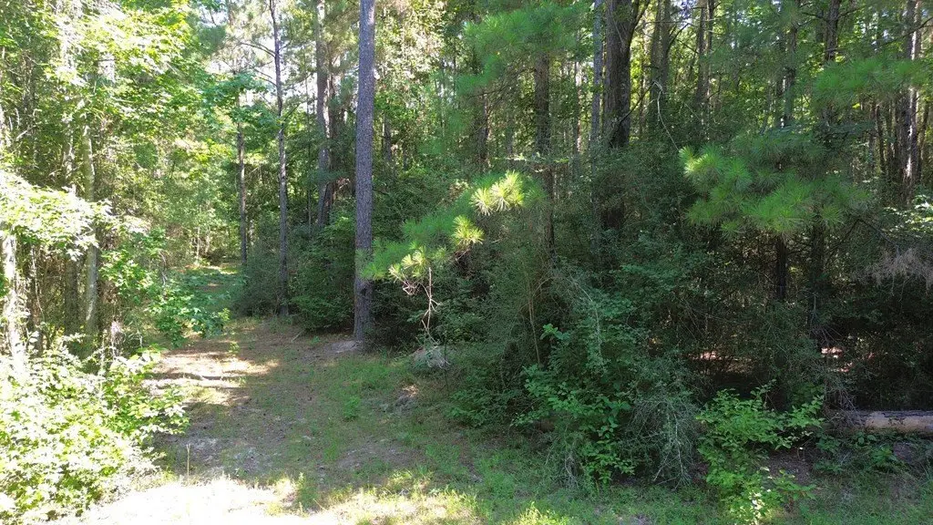 Picture 12