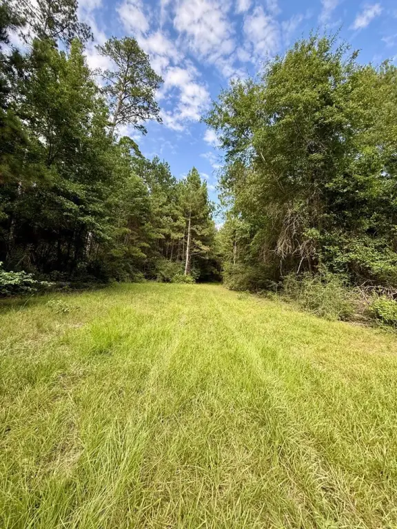 Picture 25