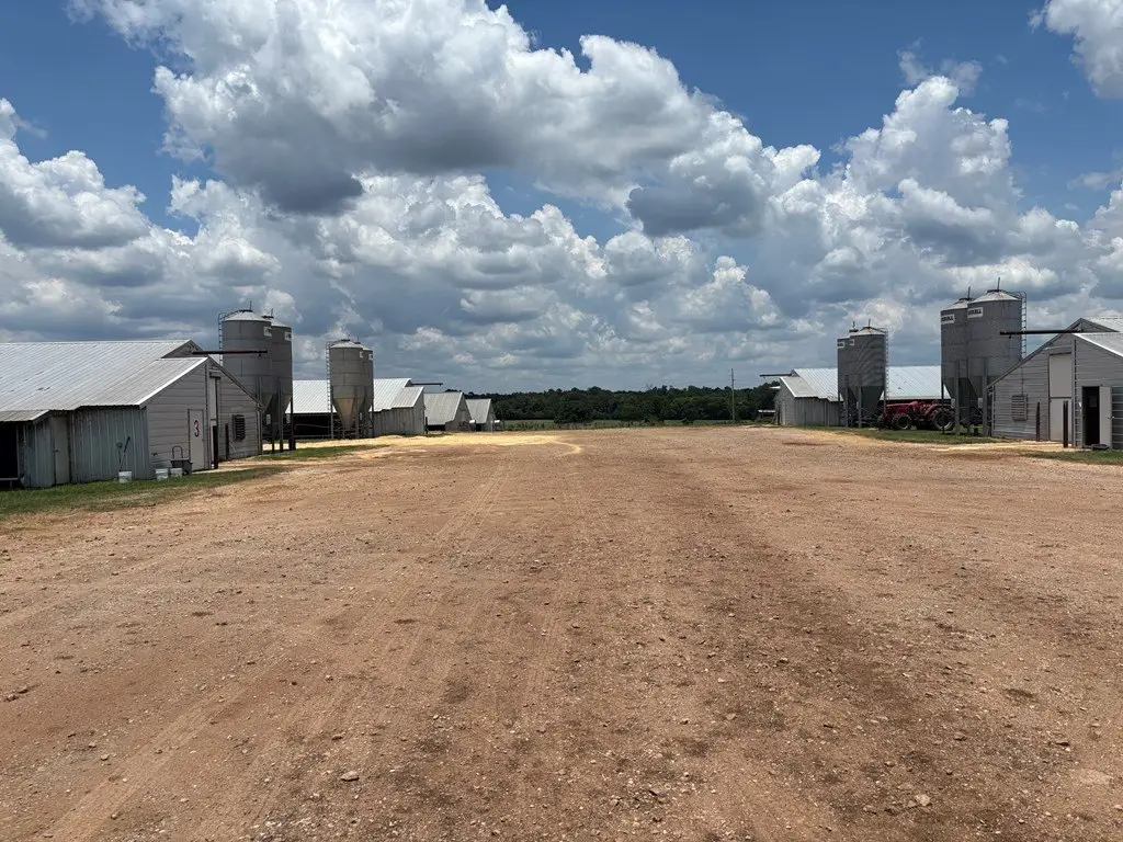 Picture 20