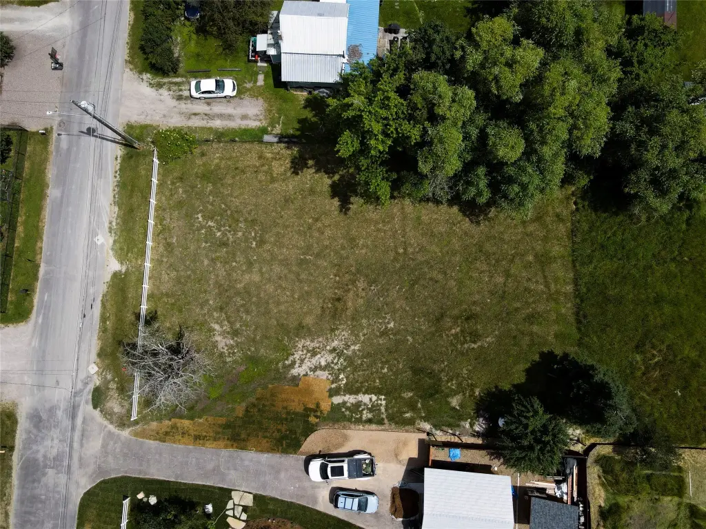 Picture 5