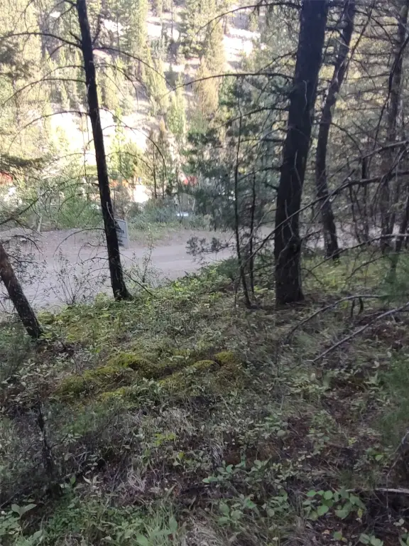 Picture 12