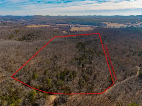 Secluded Wooded Land For Sale