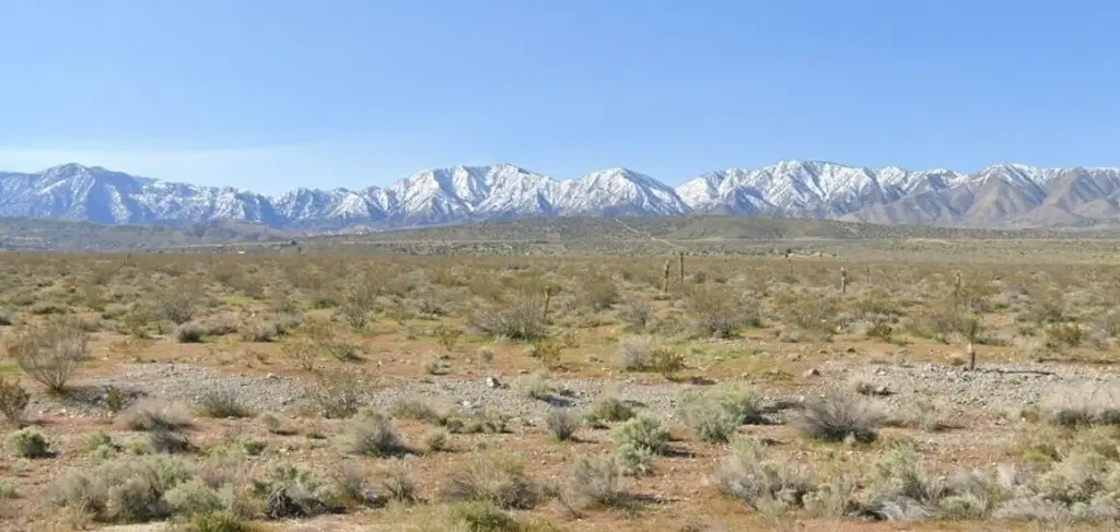 Picture 11