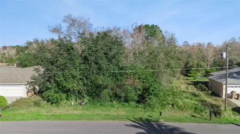 Wooded Lot in Kissimmee, FL