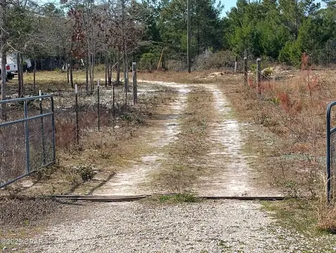 10 Acres Near Altha, Florida