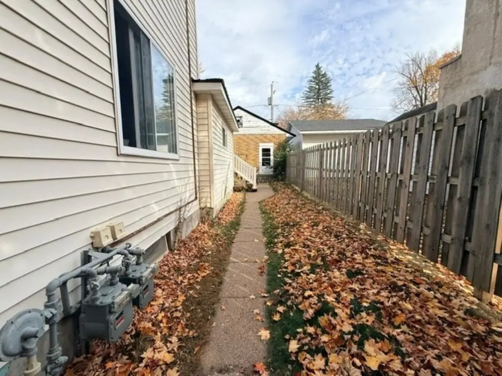 Picture 5