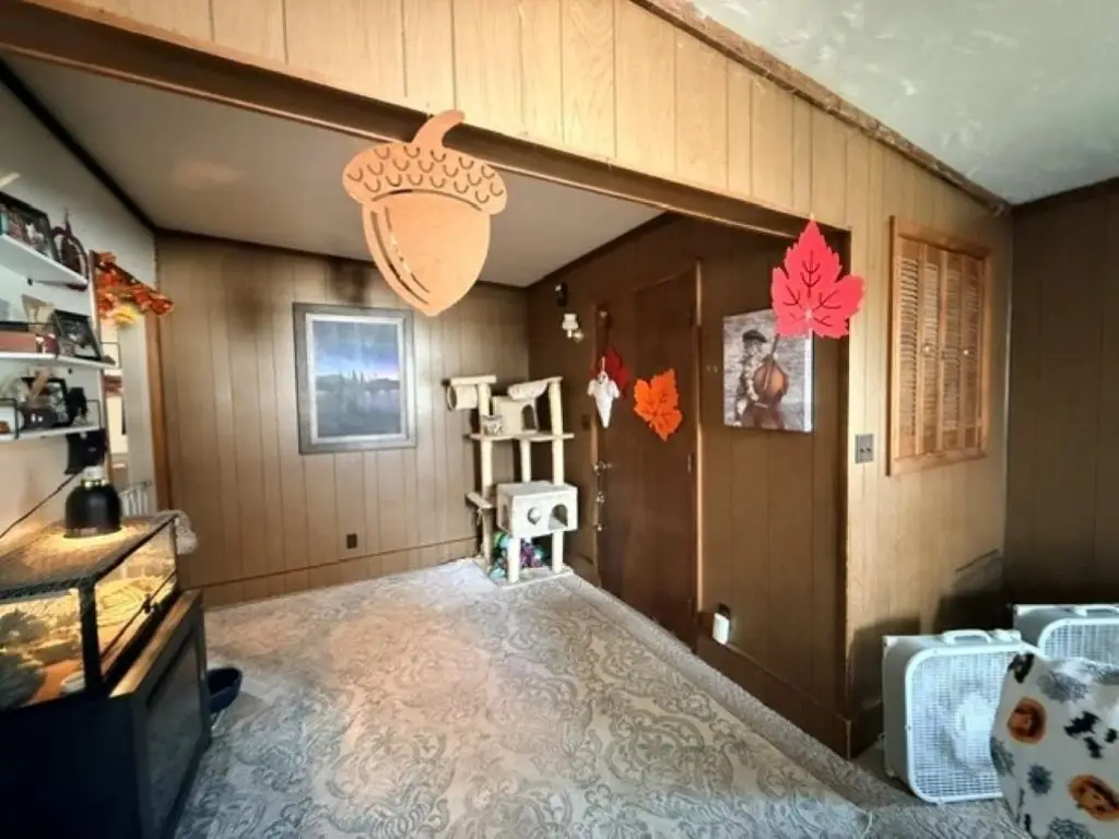 Picture 7