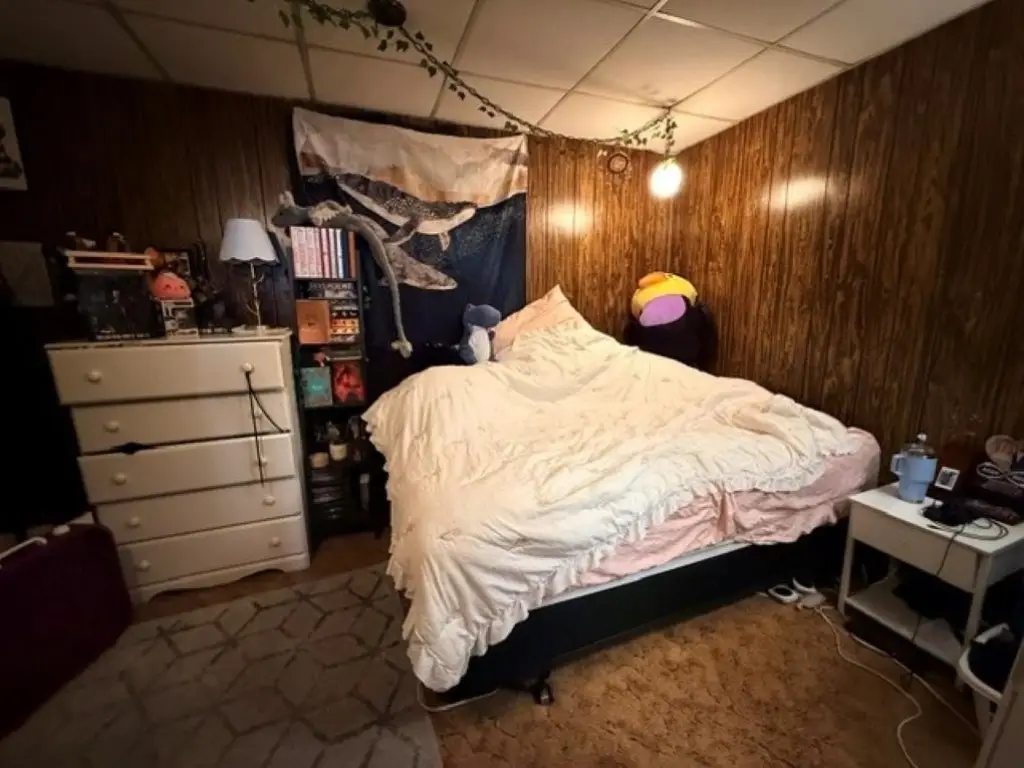 Picture 15