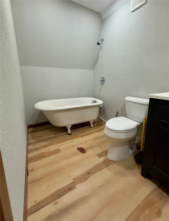 Picture 12