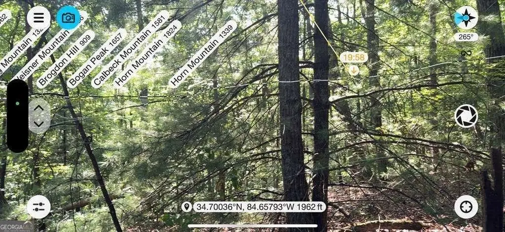 Picture 26