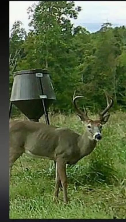 Picture 6