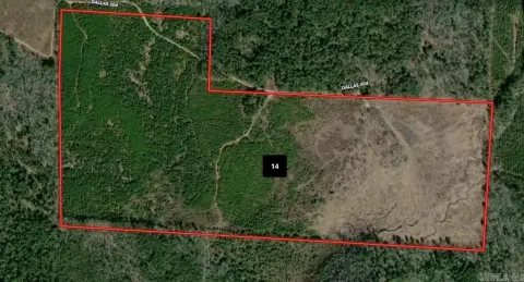 Agricultural Land with Timber