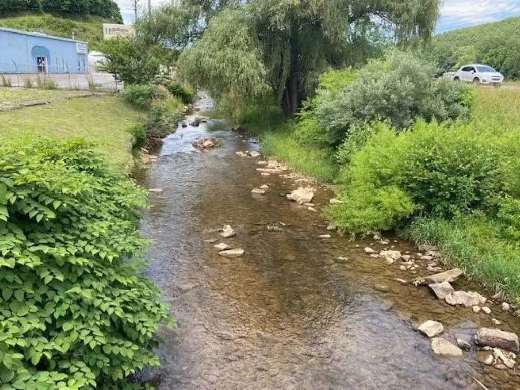 Picture 17