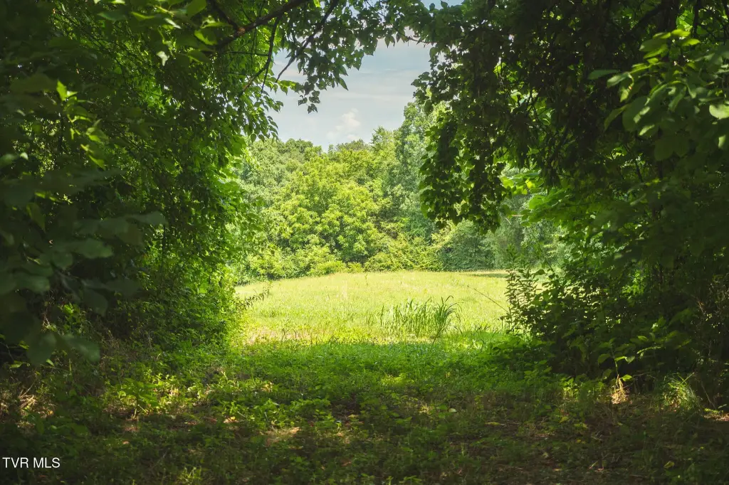 Picture 42
