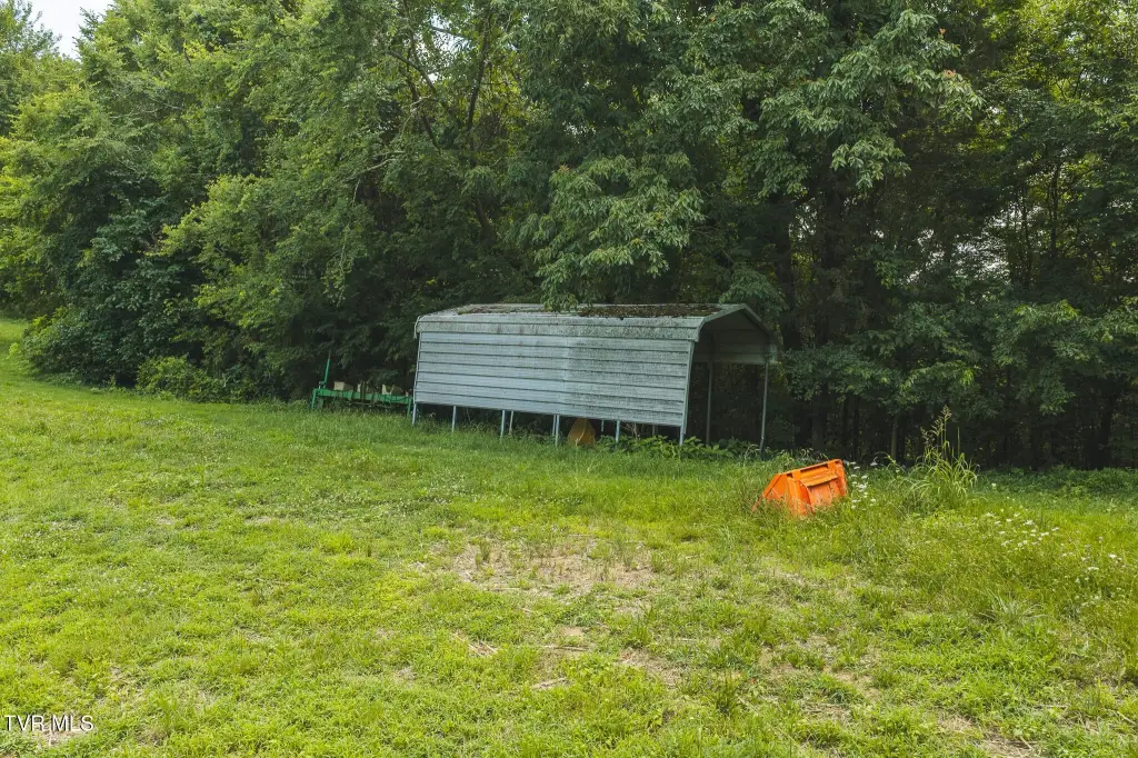 Picture 14