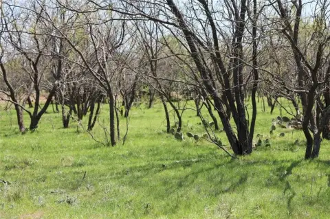 10.5 Acres in Gordon, TX