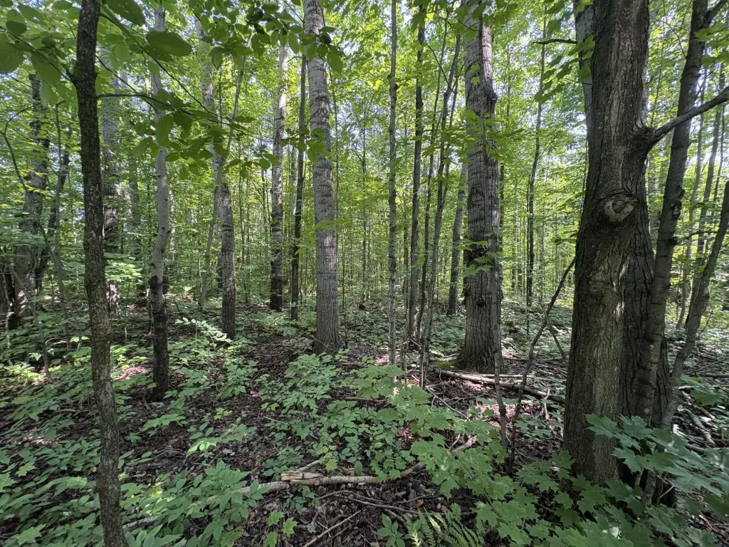 Picture 6
