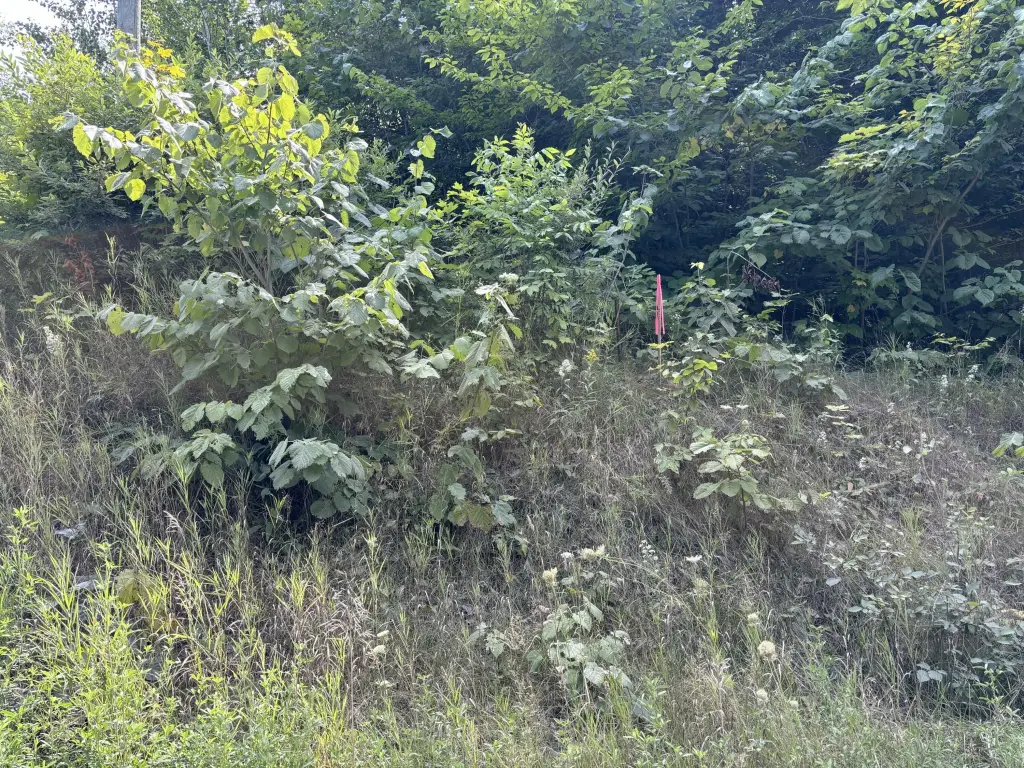Picture 26
