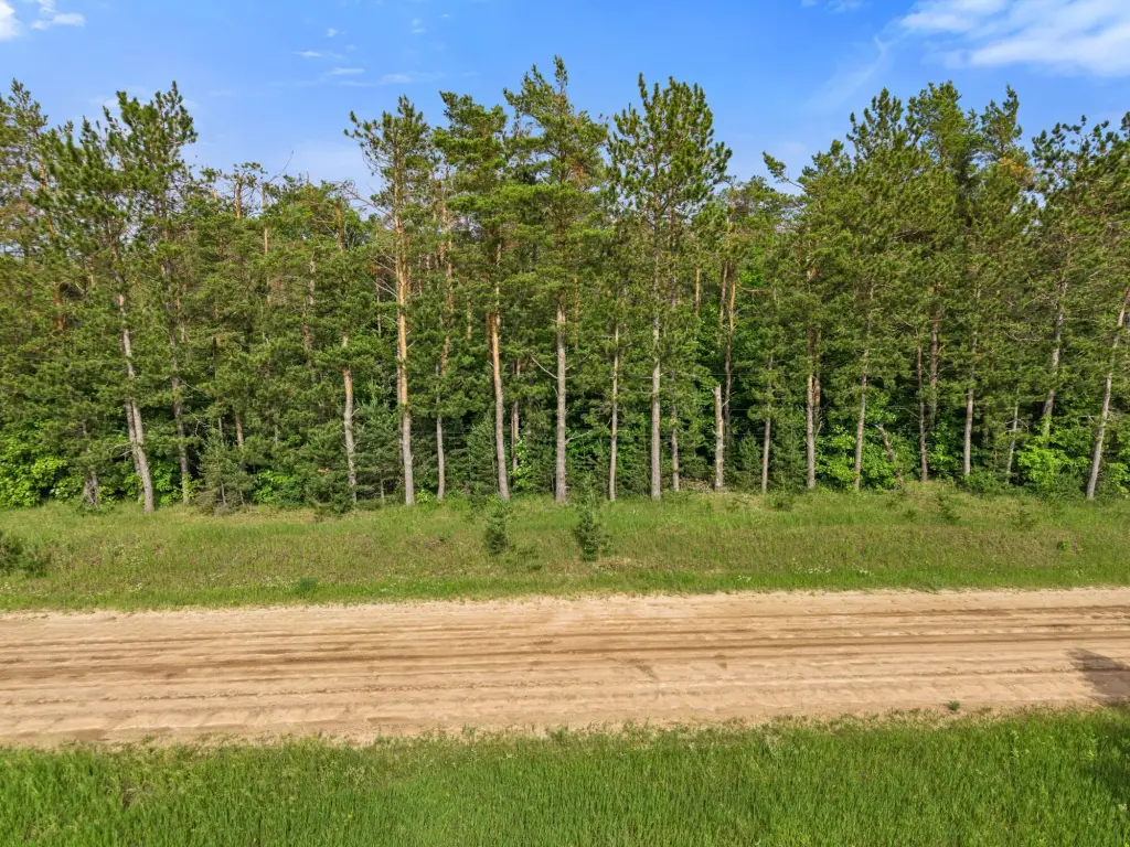 Picture 28
