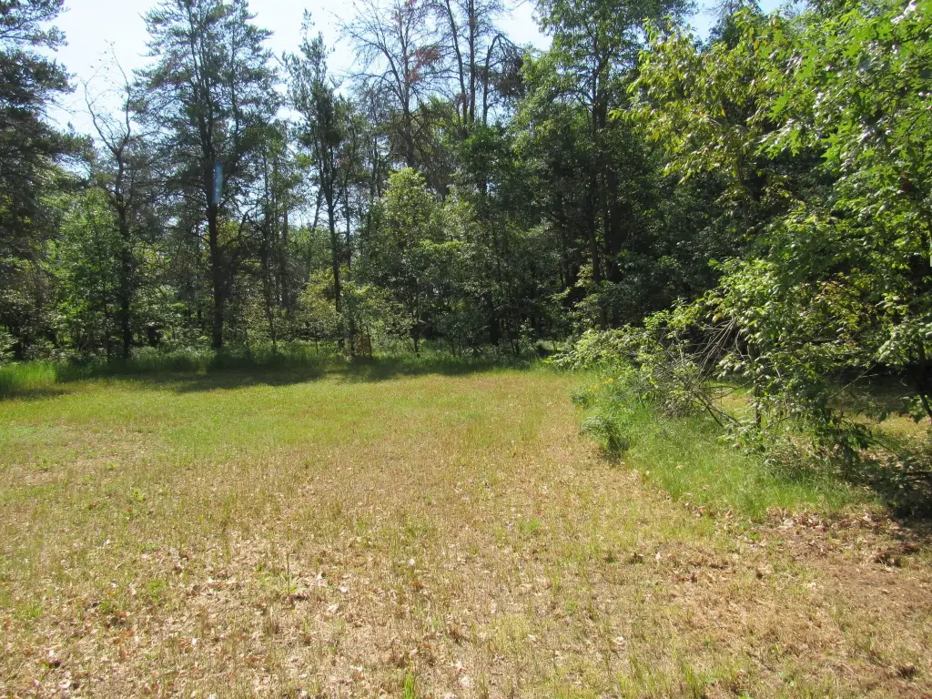 Picture 15