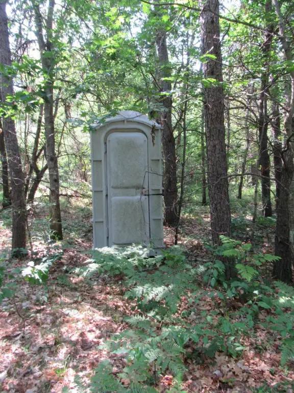 Picture 45