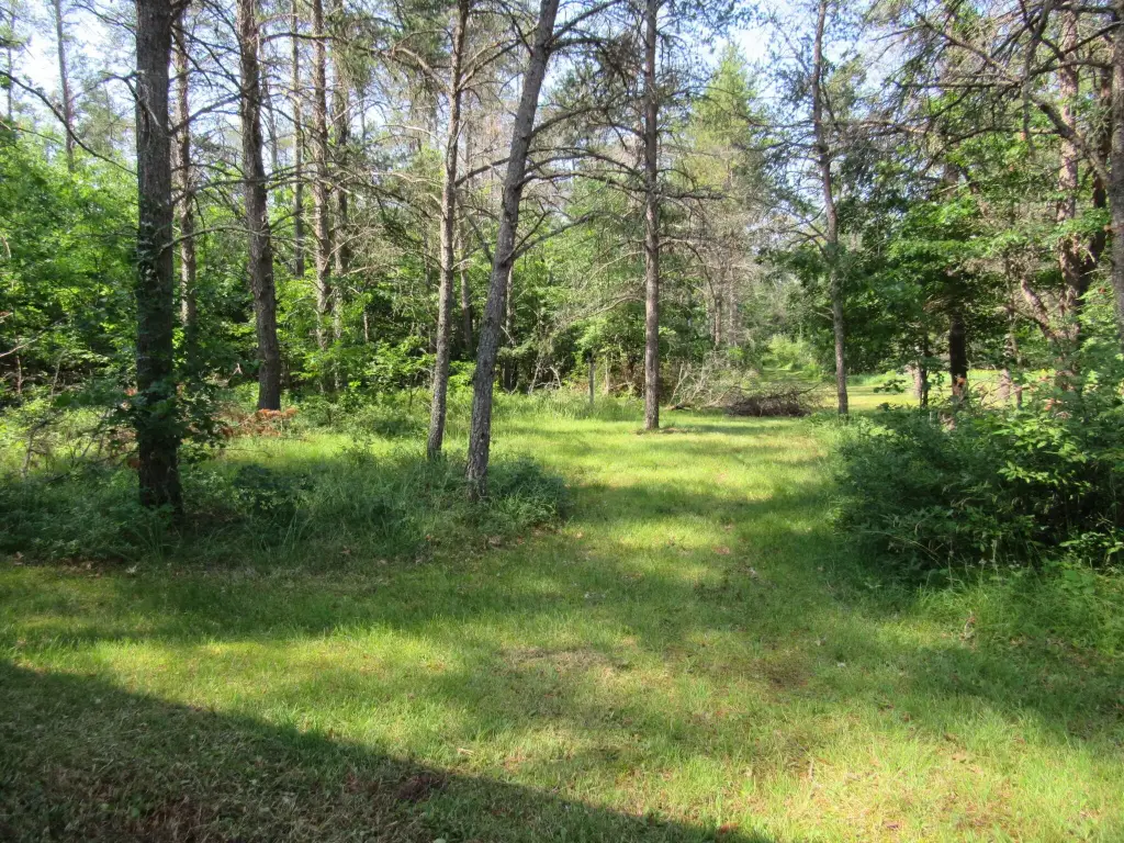 Picture 9