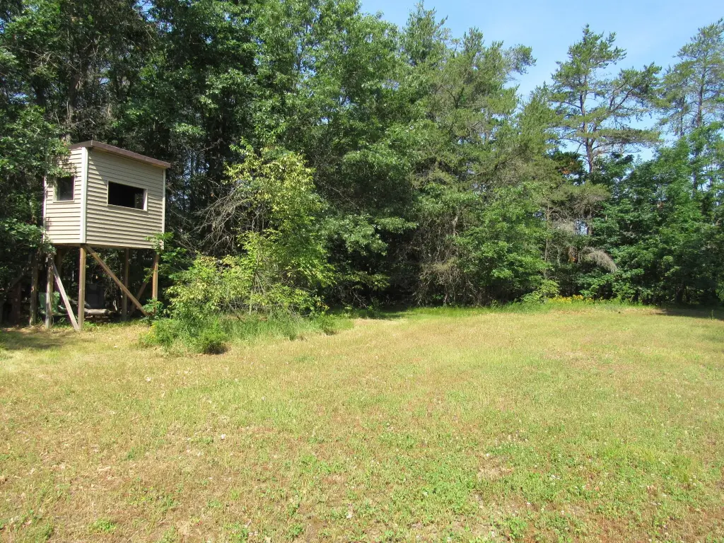 Picture 14