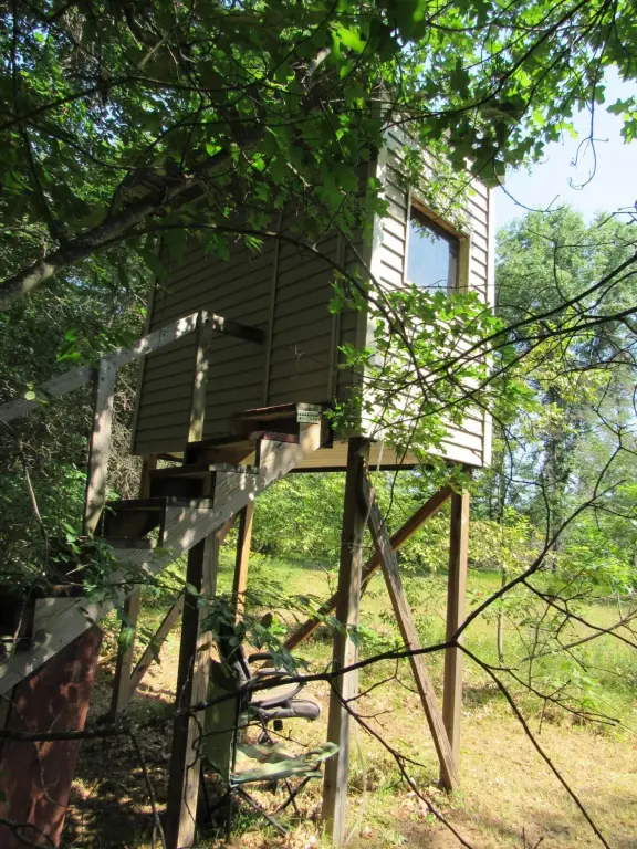 Picture 16