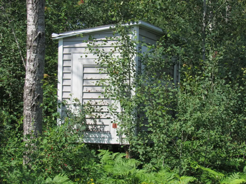 Picture 12