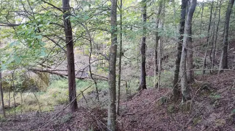 Jasper TN Land For Sale