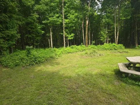 Smyrna Vacant Land with Views