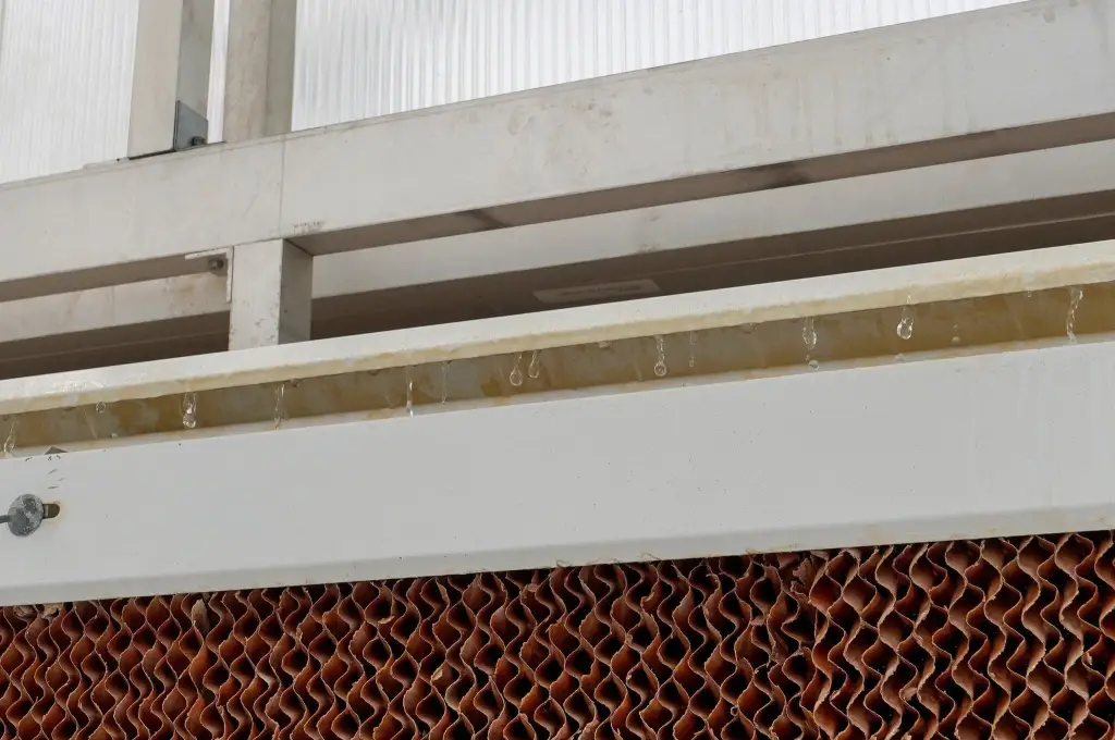 Picture 53