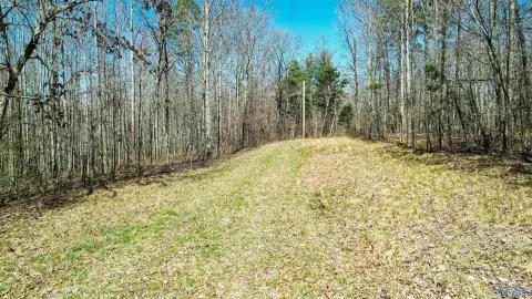 Henagar, AL Hunting Land