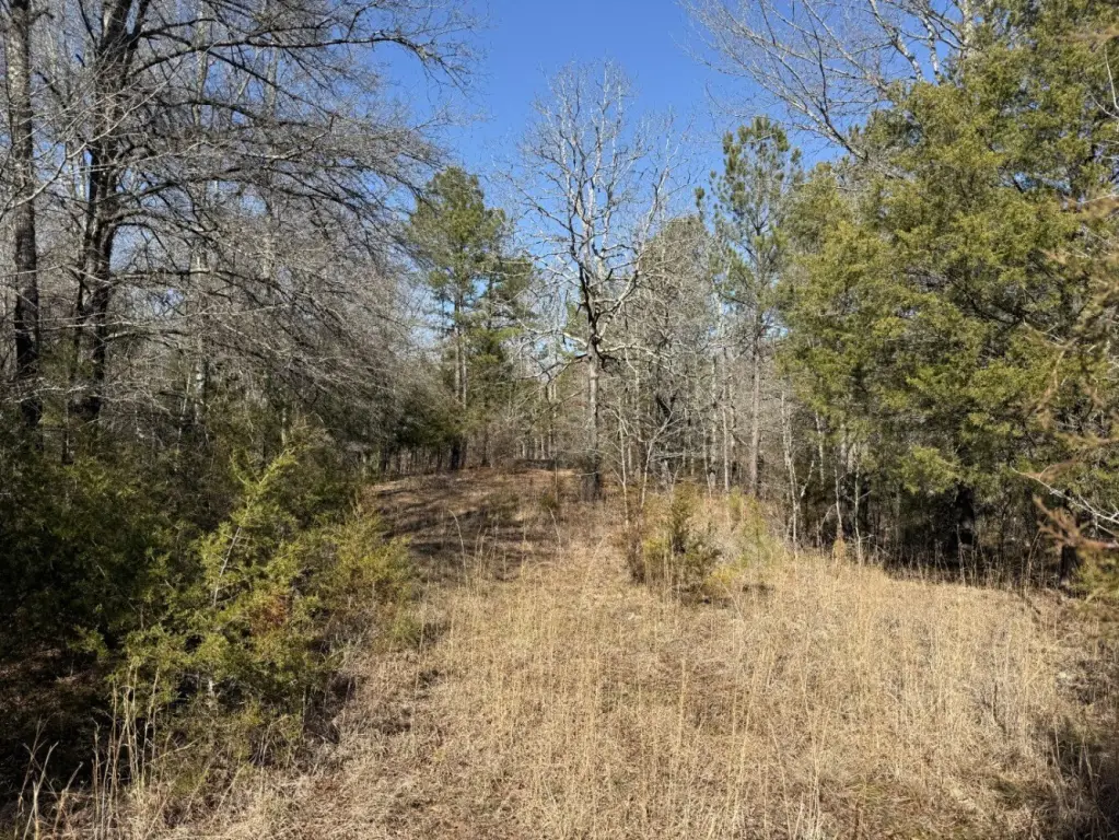 Picture 19