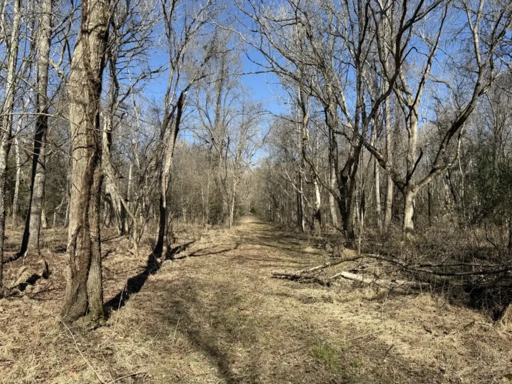 Picture 36