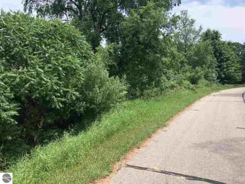 Lake Isabella Vacant Lot