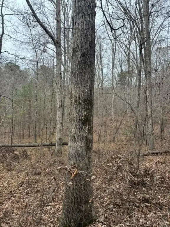 Picture 10