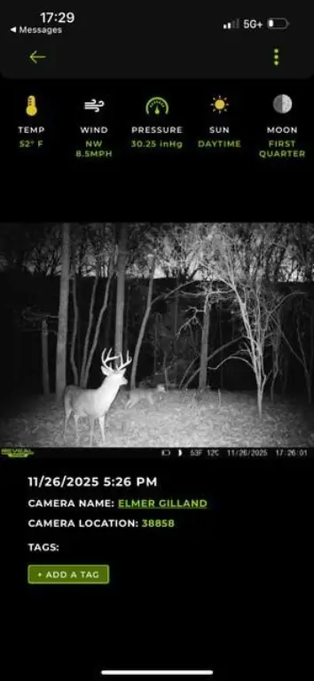 Picture 15