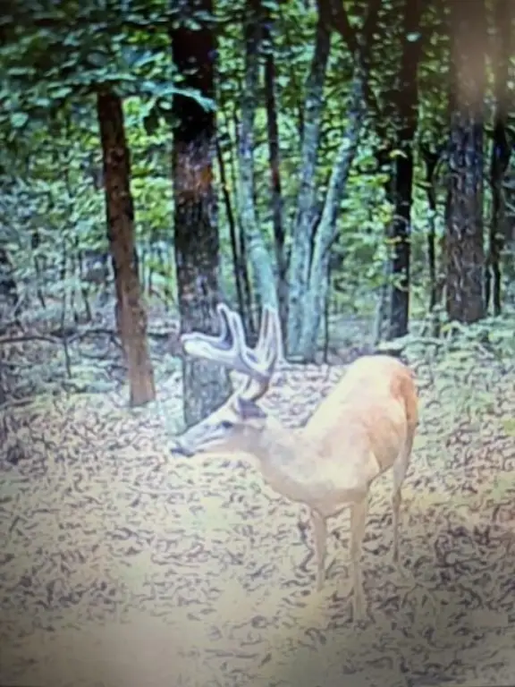 Picture 11