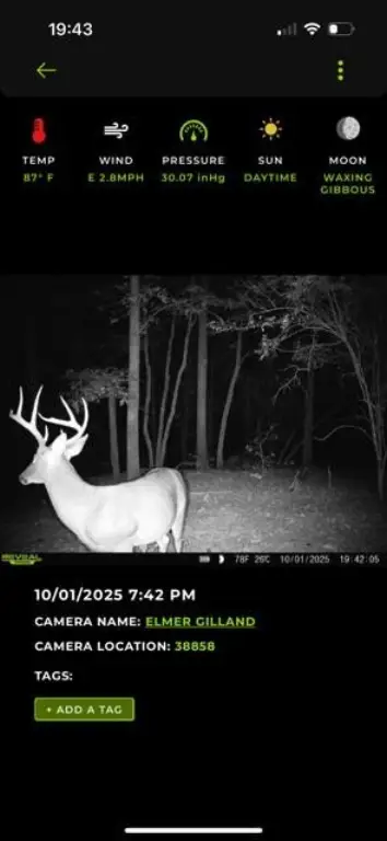 Picture 13