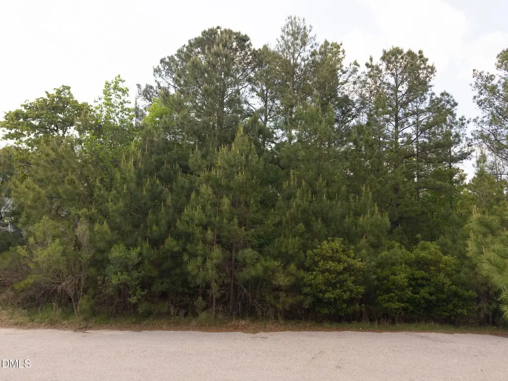 Picture 3