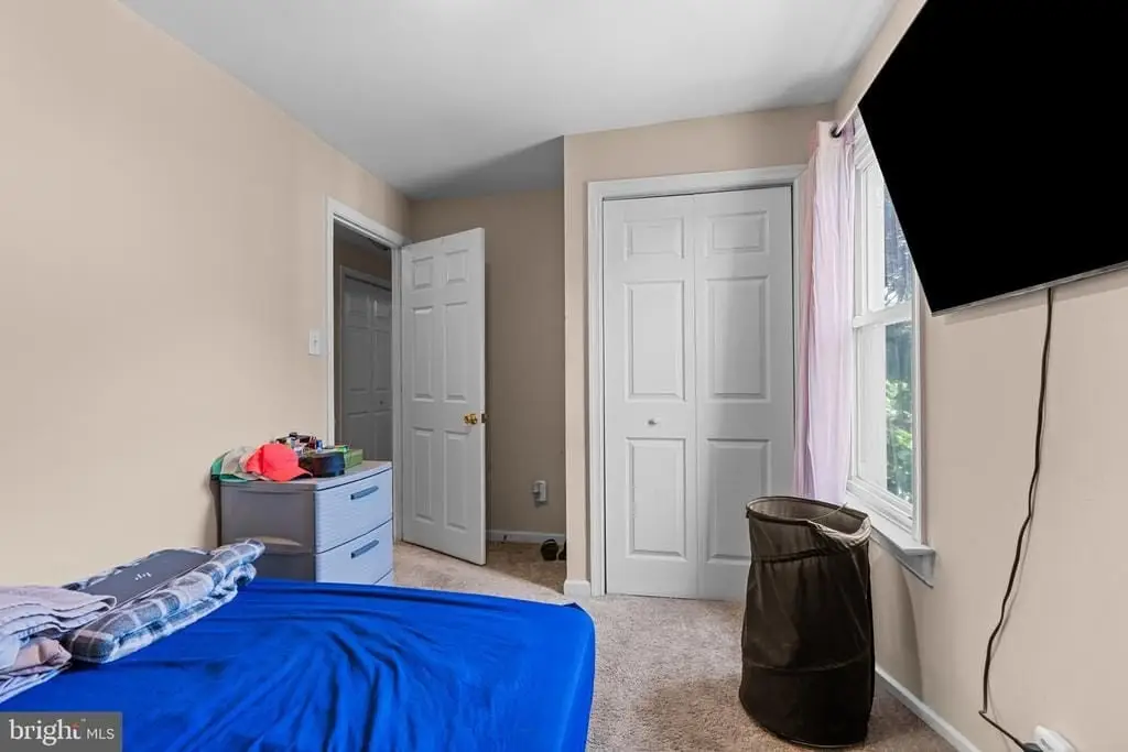 Picture 17
