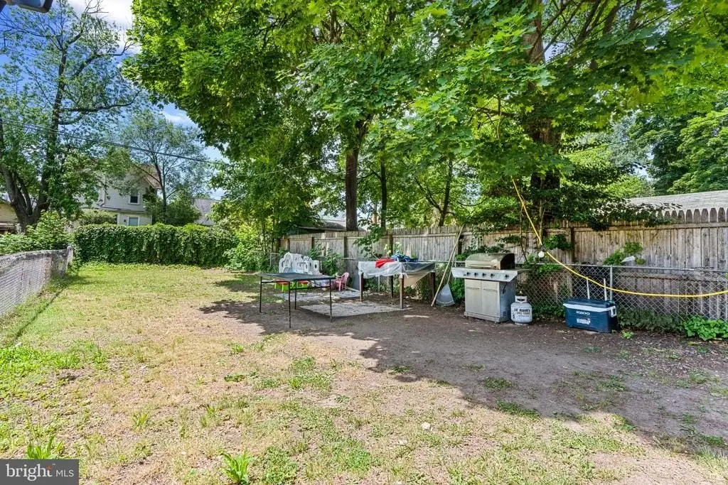 Picture 23
