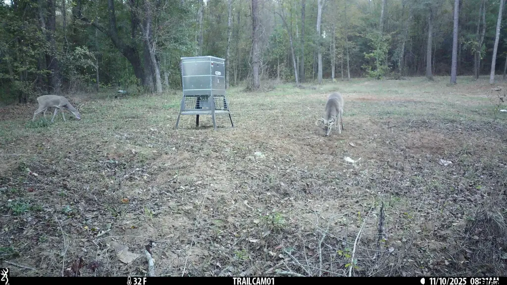 Picture 11