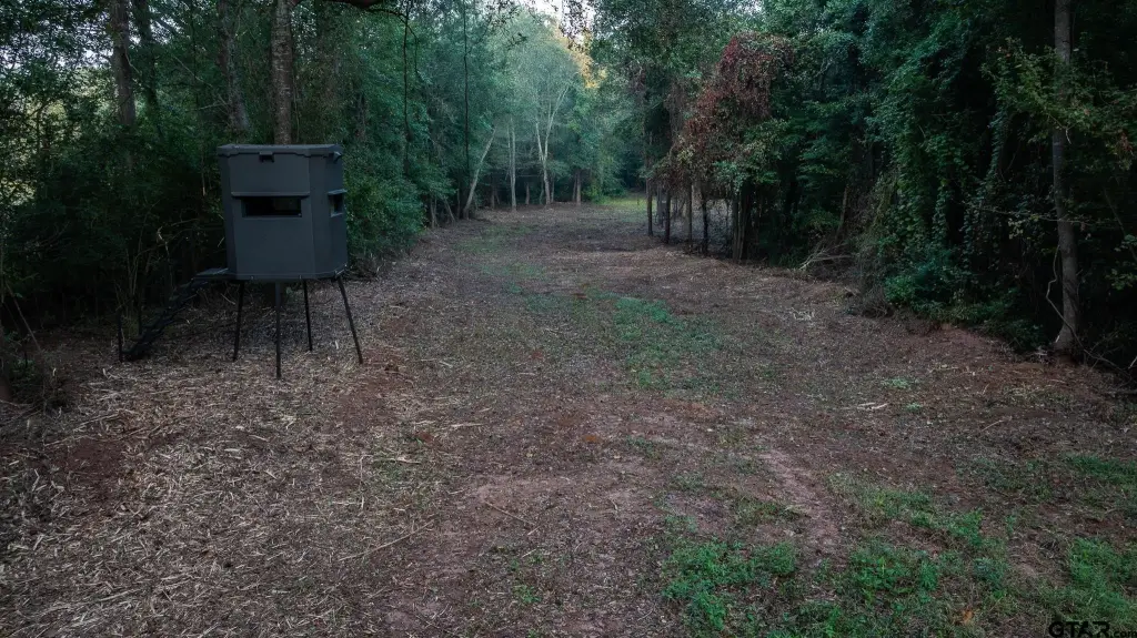 Picture 3