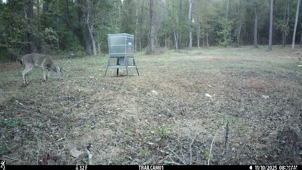 Picture 10