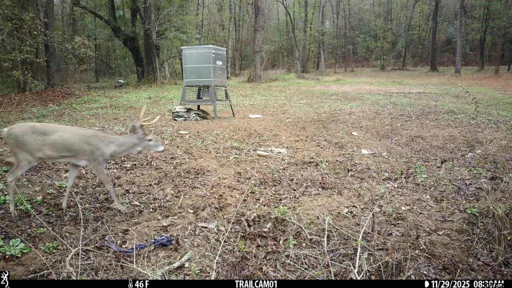 Picture 13