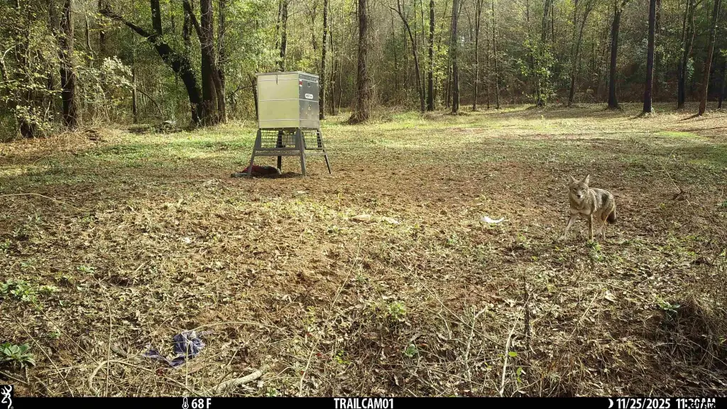 Picture 18