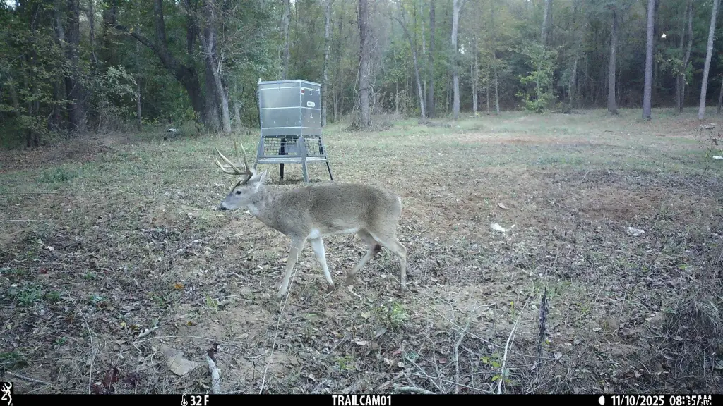 Picture 12